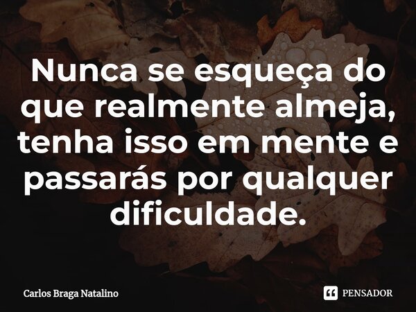 ⁠Nunca se esqueça do que realmente almeja, tenha isso em mente e passarás por qualquer dificuldade.... Frase de Carlos Braga Natalino.