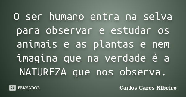 O ser humano entra na selva para observar e estudar os animais e as plantas e nem imagina que na verdade é a NATUREZA que nos observa.... Frase de Carlos Cares Ribeiro.