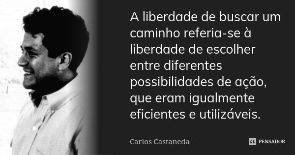 A liberdade de buscar um caminho referia-se à liberdade de escolher entre diferentes possibilidades de ação, que eram igualmente eficientes e utilizáveis.... Frase de Carlos Castaneda.