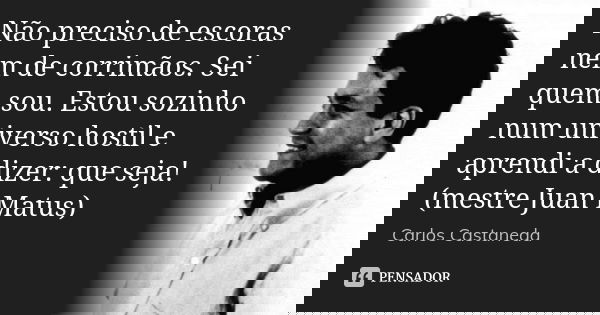 Não preciso de escoras nem de corrimãos. Sei quem sou. Estou sozinho num universo hostil e aprendi a dizer: que seja! (mestre Juan Matus)... Frase de Carlos Castaneda.