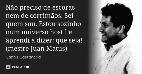 Não preciso de escoras nem de corrimãos. Sei quem sou. Estou sozinho num universo hostil e aprendi a dizer: que seja! (mestre Juan Matus)... Frase de Carlos Castaneda.