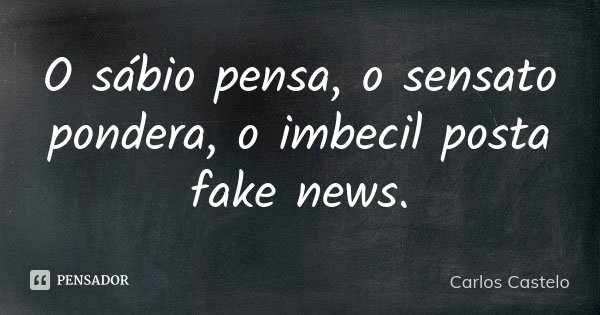 O sábio pensa, o sensato pondera, o imbecil posta fake news.... Frase de Carlos Castelo.