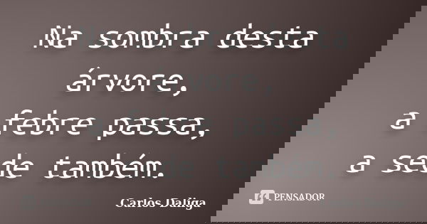 Na sombra desta árvore, a febre passa, a sede também.... Frase de Carlos Daliga.
