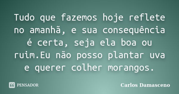 Tudo que fazemos hoje reflete no amanhã, e sua consequência é certa, seja ela boa ou ruim.Eu não posso plantar uva e querer colher morangos.... Frase de Carlos Damasceno.