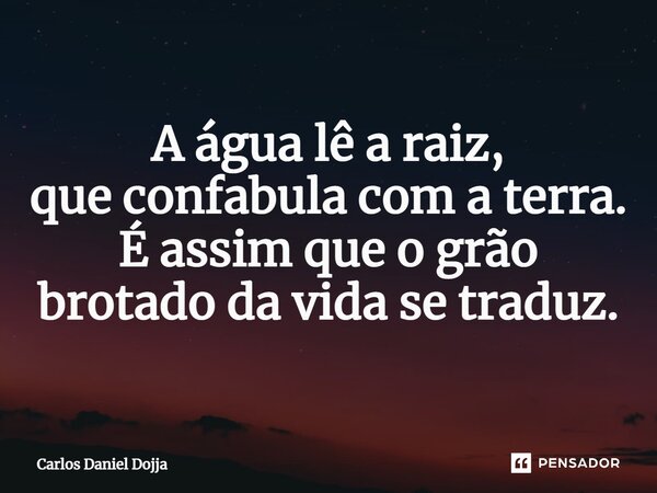 ⁠A água lê a raiz, que confabula com a terra. É assim que o grão brotado da vida se traduz.... Frase de Carlos Daniel Dojja.