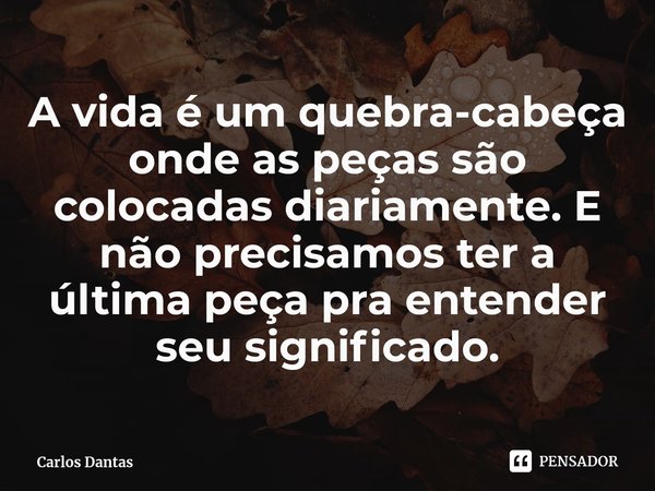 ⁠A vida é um quebra-cabeça onde as peças são colocadas diariamente. E não precisamos ter a última peça pra entender seu significado.... Frase de Carlos Dantas.