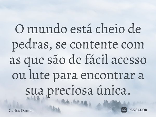 ⁠O mundo está cheio de pedras, se contente com as que são de fácil acesso ou lute para encontrar a sua preciosa única.... Frase de Carlos Dantas.