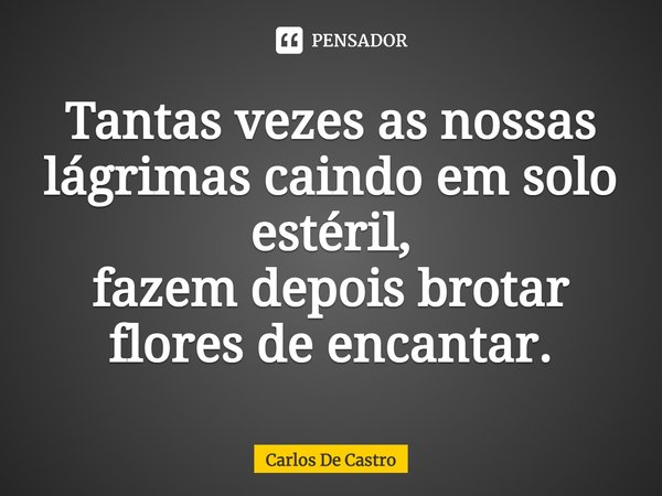⁠Tantas vezes as nossas lágrimas caindo em solo estéril,
fazem depois brotar flores de encantar.... Frase de Carlos de Castro.
