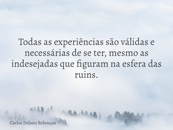 Todas as experiências são válidas e necessárias de se ter, mesmo as indesejadas que figuram na esfera das ruins.... Frase de Carlos Delano Rebouças.