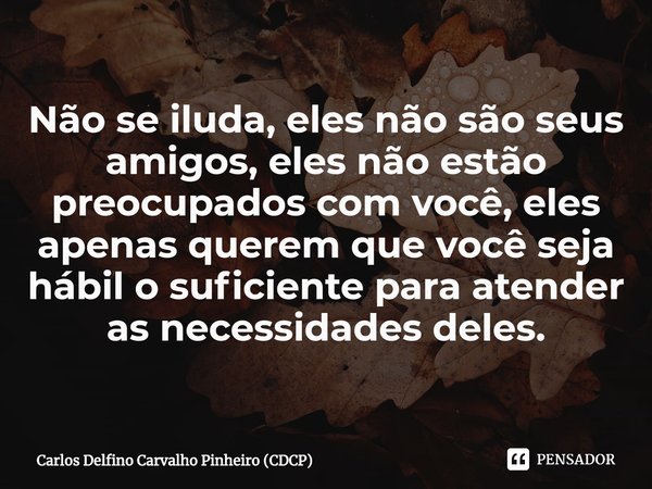 ⁠Não se iluda, eles não são seus amigos, eles não estão preocupados com você, eles apenas querem que você seja hábil o suficiente para atender as necessidades d... Frase de Carlos Delfino Carvalho Pinheiro (CDCP).