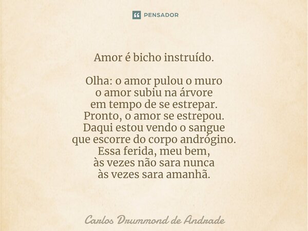 Amor é Bicho Instruído Olha O Amor Carlos Drummond De Andrade