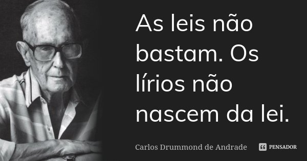 As leis não bastam. Os lírios não nascem da lei.... Frase de Carlos Drummond de Andrade.