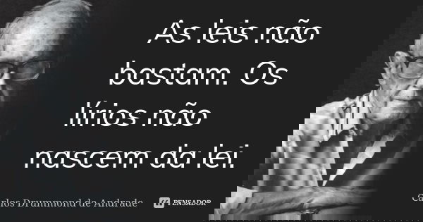As leis não bastam. Os lírios não nascem da lei.... Frase de Carlos Drummond de Andrade.