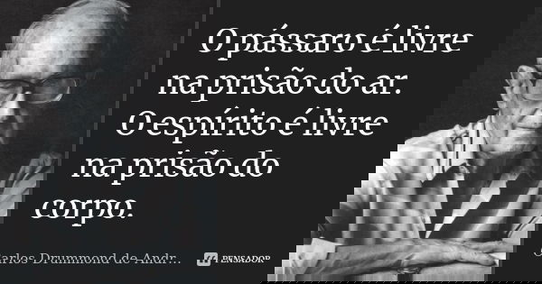O pássaro é livre na prisão do ar. O espírito é livre na prisão do corpo.... Frase de Carlos Drummond de Andrade.