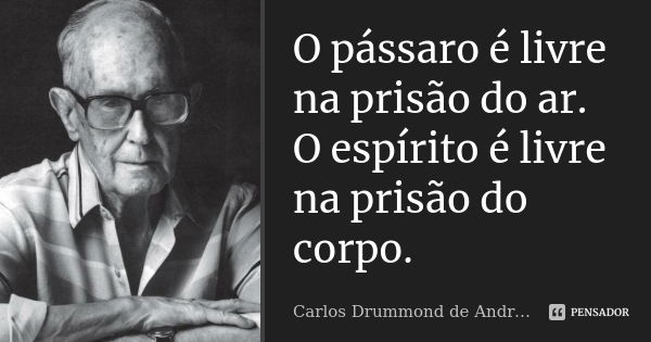 O pássaro é livre na prisão do ar. O espírito é livre na prisão do corpo.... Frase de Carlos Drummond de Andrade.