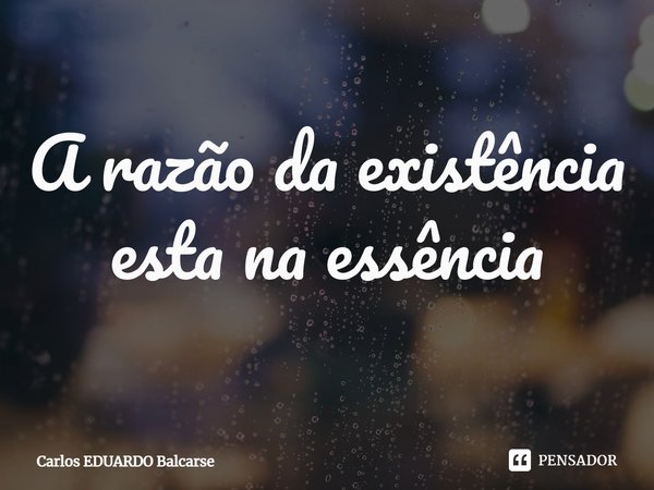 A razão da existência esta na essência... Frase de Carlos EDUARDO Balcarse.