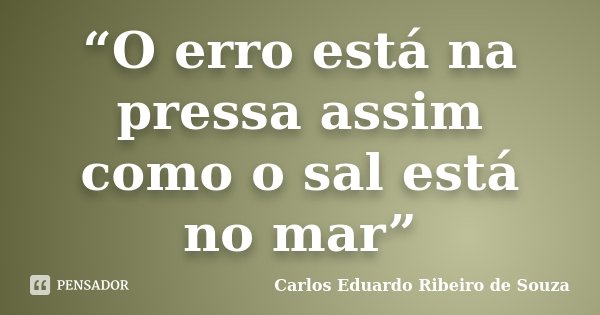 “O erro está na pressa assim como o sal está no mar”... Frase de Carlos Eduardo Ribeiro de Souza.