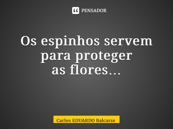 Os espinhos servem para proteger as flores… ⁠... Frase de Carlos EDUARDO Balcarse.