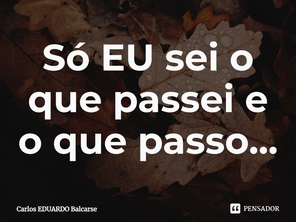 ⁠Só EU sei o que passei e o que passo...... Frase de Carlos EDUARDO Balcarse.