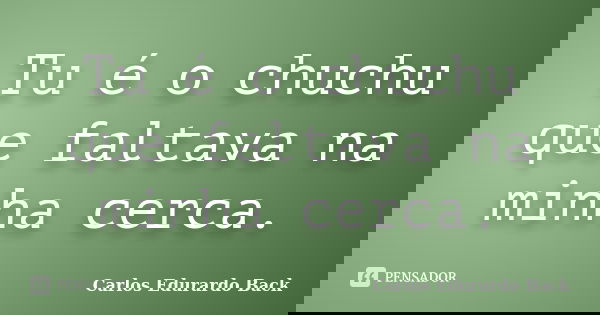 Tu é o chuchu que faltava na minha cerca.... Frase de Carlos Edurardo Back.