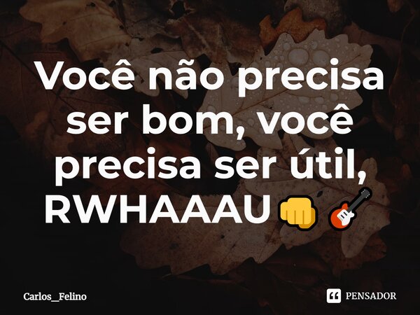 ⁠Você não precisa ser bom, você precisa ser útil, RWHAAAU👊🎸... Frase de Carlos_Felino.