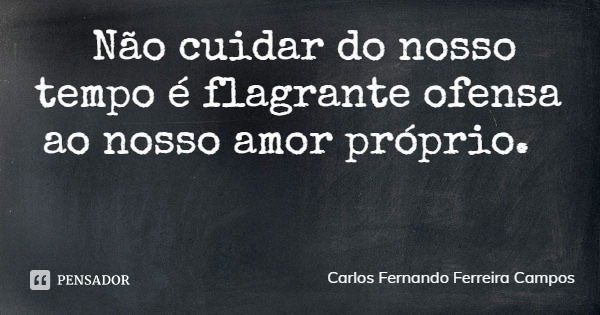 Não cuidar do nosso tempo é flagrante ofensa ao nosso amor próprio.... Frase de Carlos Fernando Ferreira Campos.