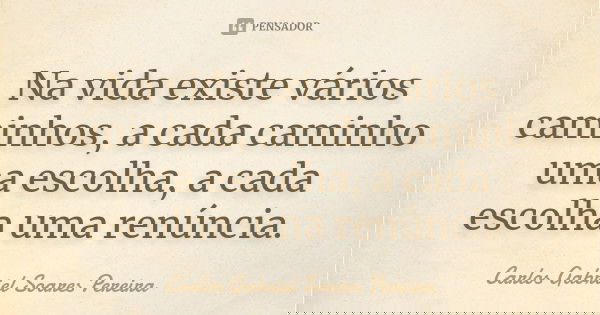 Na vida existe vários caminhos, a cada caminho uma escolha, a cada escolha uma renúncia.... Frase de Carlos Gabriel Soares Pereira.