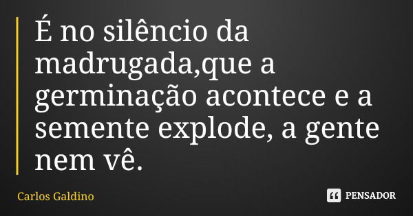 É no silêncio da madrugada,que a germinação acontece e a semente explode, a gente nem vê.... Frase de Carlos Galdino.