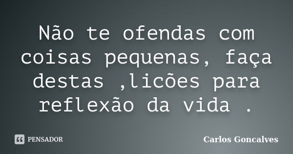 Não te ofendas com coisas pequenas, faça destas ,licões para reflexão da vida .... Frase de Carlos Goncalves.