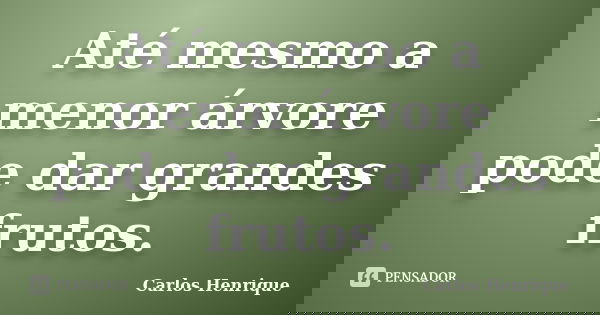Até mesmo a menor árvore pode dar grandes frutos.... Frase de Carlos Henrique.
