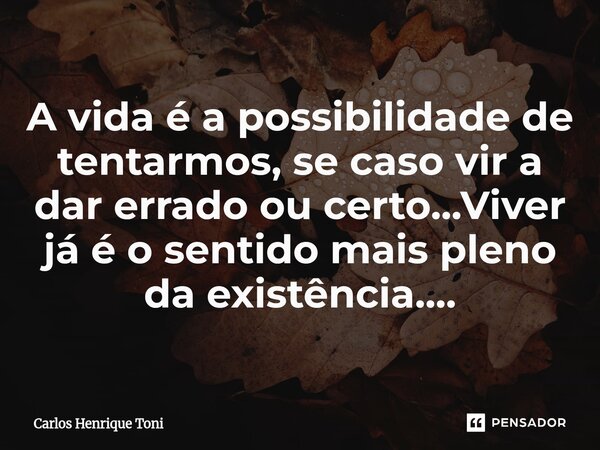 A vida é a possibilidade de tentarmos, se caso vir a dar errado ou certo...Viver já é o sentido mais pleno da existência....... Frase de Carlos Henrique Toni.