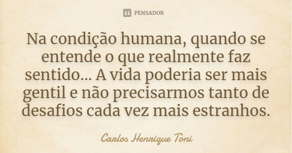 Na condição humana, quando se entende o que realmente faz sentido... A vida poderia ser mais gentil e não precisarmos tanto de desafios cada vez mais estranhos.... Frase de Carlos Henrique Toni.