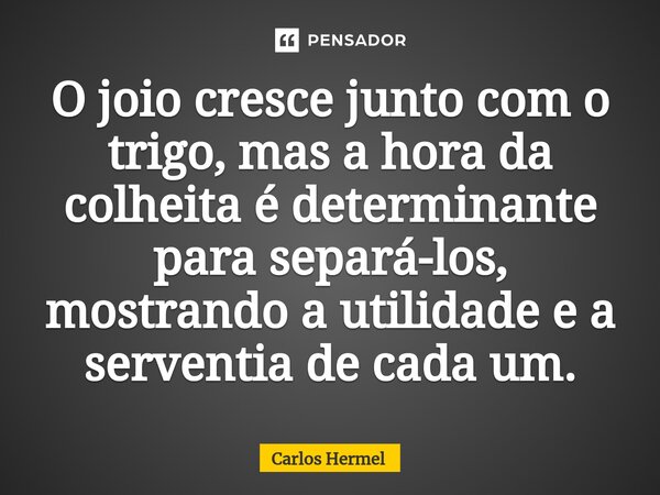 ⁠O joio cresce junto com o trigo, mas a hora da colheita é determinante para separá-los, mostrando a utilidade e a serventia de cada um.... Frase de Carlos Hermel.