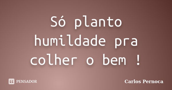 Só planto humildade pra colher o bem !... Frase de Carlos Pernoca.