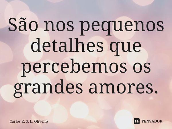 ⁠São nos pequenos detalhes que percebemos os grandes amores.... Frase de Carlos R. S. L. Oliveira.