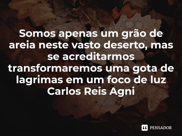 ⁠Somos apenas um grão de areia neste vasto deserto, mas se acreditarmos transformaremos uma gota de lagrimas em um foco de luz
Carlos Reis Agni... Frase de Carlos Reis Agni.
