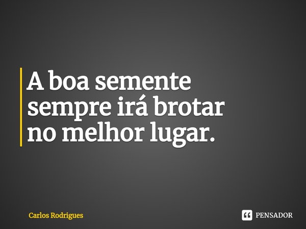 ⁠A boa semente sempre irá brotar no melhor lugar.... Frase de Carlos Rodrigues.