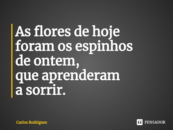 ⁠As flores de hoje foram os espinhos de ontem, que aprenderam a sorrir.... Frase de Carlos Rodrigues.