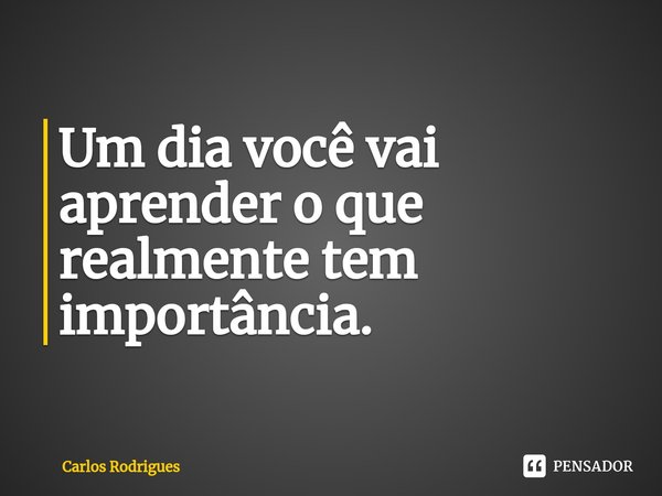 ⁠Um dia você vai aprender o que realmente tem importância.... Frase de Carlos Rodrigues.