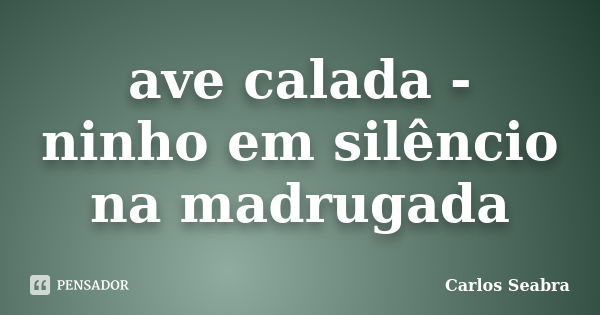 ave calada -
ninho em silêncio
na madrugada... Frase de Carlos Seabra.