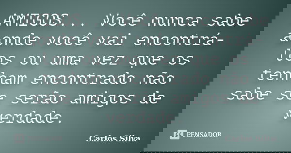 AMIGOS... Você nunca sabe aonde você vai encontrá-los ou uma vez que os tenham encontrado não sabe se serão amigos de verdade.... Frase de Carlos Silva.