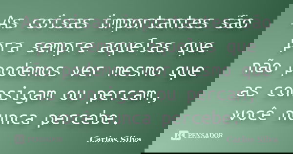 As coisas importantes são pra sempre aquelas que não podemos ver mesmo que as consigam ou percam, você nunca percebe.... Frase de Carlos Silva.