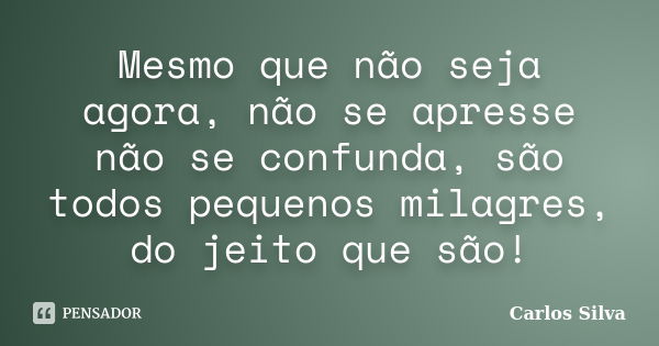 Mesmo que não seja agora, não se apresse não se confunda, são todos pequenos milagres, do jeito que são!... Frase de Carlos Silva.