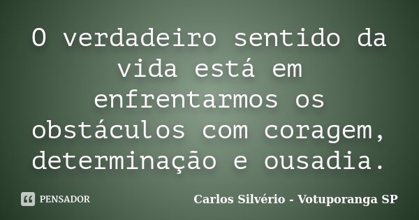 O verdadeiro sentido da vida está em enfrentarmos os obstáculos com coragem, determinação e ousadia.... Frase de Carlos Silvério - Votuporanga  SP.