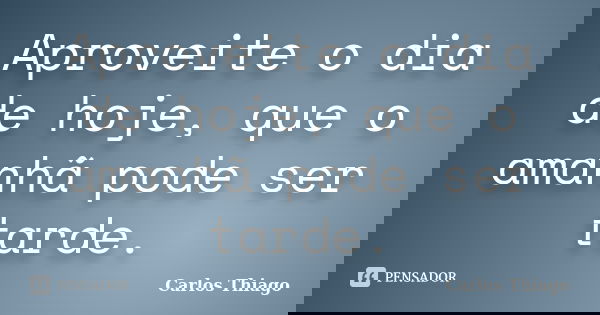 Aproveite o dia de hoje, que o amanhã pode ser tarde.... Frase de Carlos Thiago.