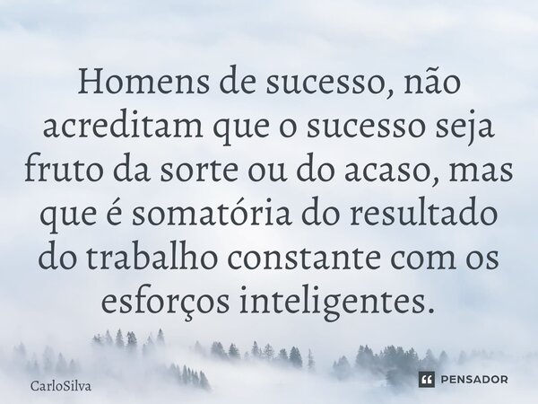 ⁠Homens de sucesso, não acreditam que o sucesso seja fruto da sorte ou do acaso, mas que é somatória do resultado do trabalho constante com os esforços intelige... Frase de CarloSilva.