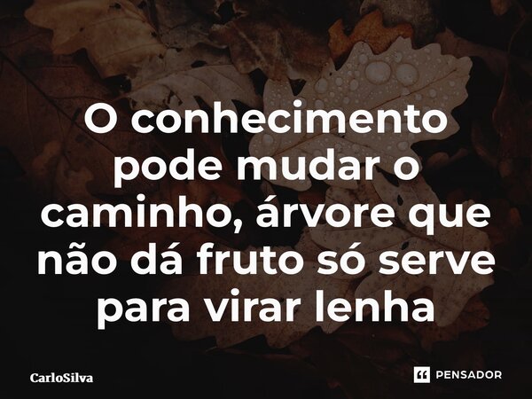 ⁠O conhecimento pode mudar o caminho, árvore que não dá fruto só serve para virar lenha... Frase de CarloSilva.
