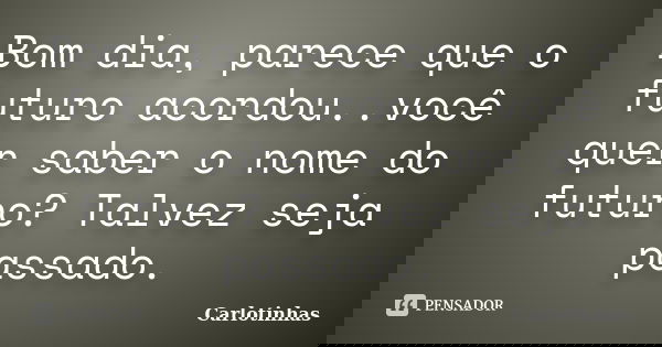 Bom dia, parece que o futuro acordou..você quer saber o nome do futuro? Talvez seja passado.... Frase de Carlotinhas.
