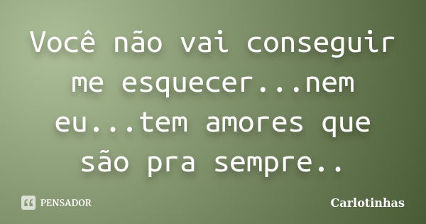 Você não vai conseguir me esquecer...nem eu...tem amores que são pra sempre..... Frase de Carlotinhas.