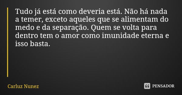 Tudo já está como deveria está. Não há nada a temer, exceto aqueles que se alimentam do medo e da separação. Quem se volta para dentro tem o amor como imunidade... Frase de Carluz Nunez.